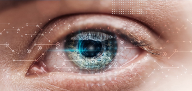 Iris Scan as Biometric Identification in an AI-dominated World