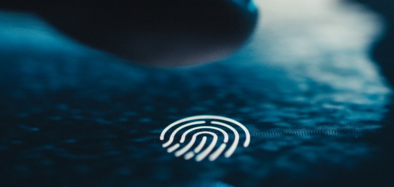 X cambia su política de privacidad: ahora podrá recopilar tus datos biométricos