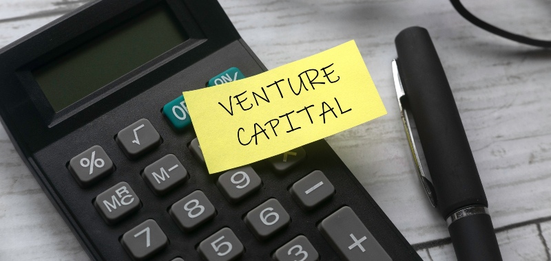 Corporate Venture Capital (CVC)